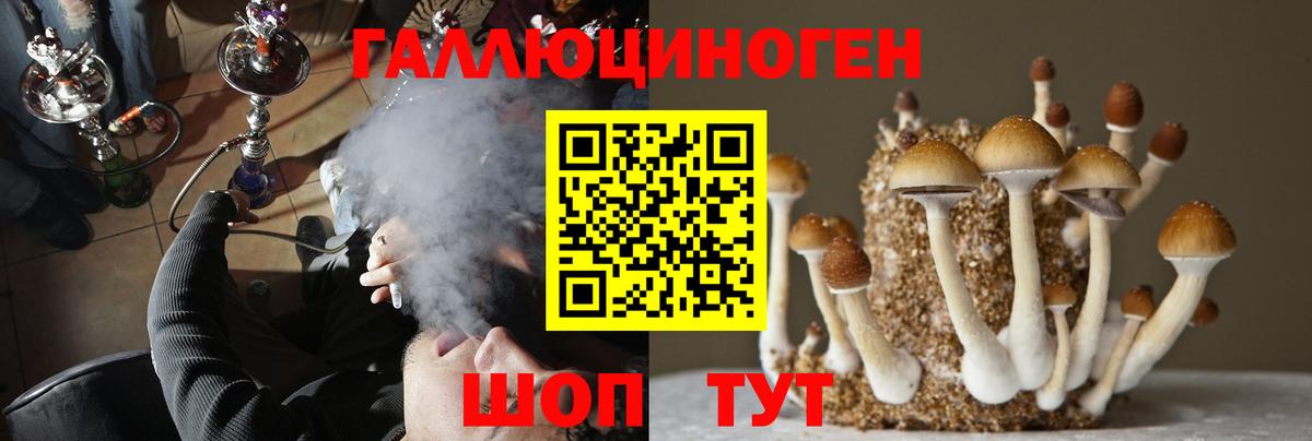 Псилоцибиновые грибы GOLDEN TEACHER Сатка
